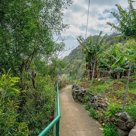 Pico Paraiso Safari Atlantic View Luxury tent